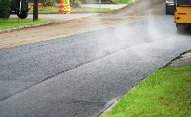 Best Driveway Paving Contractor  in Pimlico, SC